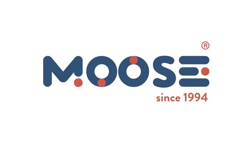 Jak skutecznie uczyć się języka angielskiego? Poznaj szkołę Moose – lidera indywidualnych kursów językowych w Polsce